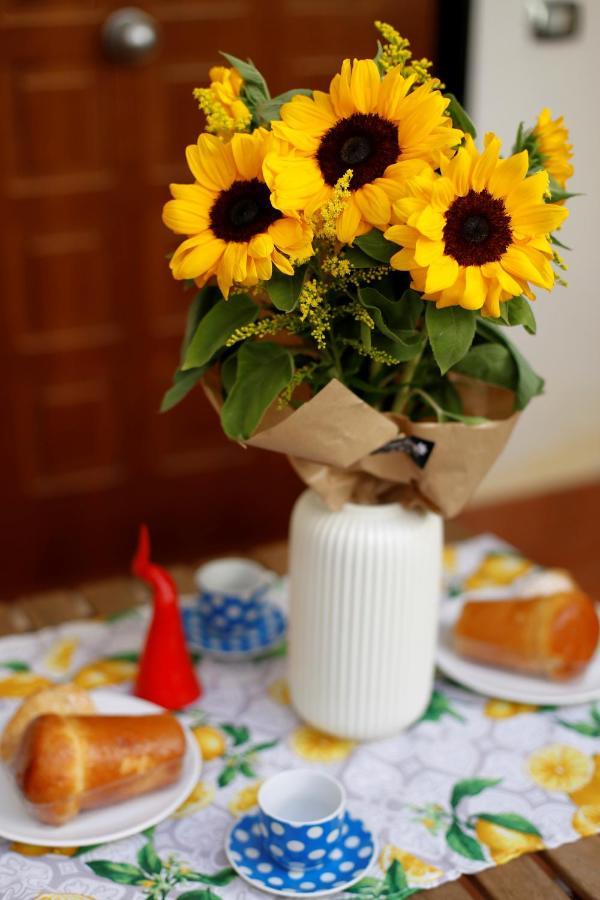 San Gregorio Apartamento